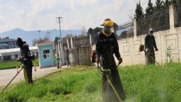 Kartepe’de Yeşil Alanlarda Bakım Seferberliği