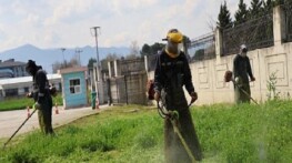 Kartepe’de Yeşil Alanlarda Bakım Seferberliği