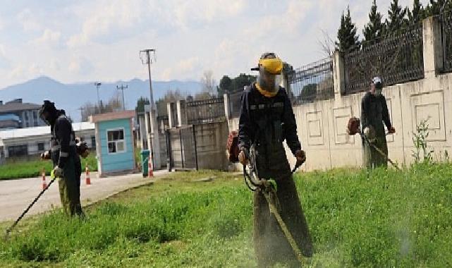 Kartepe’de Yeşil Alanlarda Bakım Seferberliği