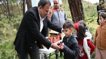 Kemer’de fidan dikim aktifliği