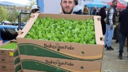 Kocaeli’de çiftçilere zerzevat fidesi dayanağı