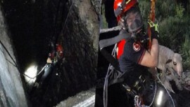 Kuyuya düşen kuzuya itfaiyeden nefes kesen kurtarma
