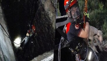 Kuyuya düşen kuzuya itfaiyeden nefes kesen kurtarma