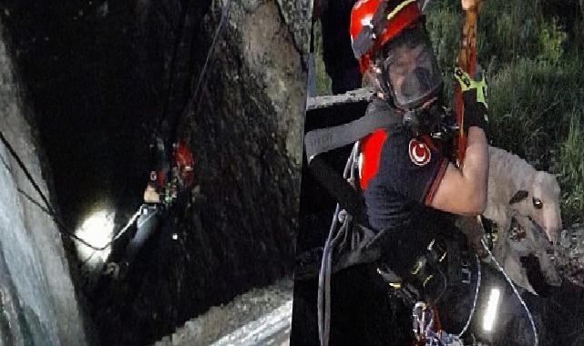 Kuyuya düşen kuzuya itfaiyeden nefes kesen kurtarma