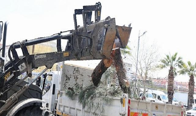 Lider Çerçioğlu’ndan Aydın’ın Yeşil Dokusunu Geleceğe Taşıyan Çalışma