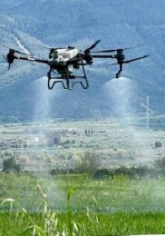 Lider Çerçioğlu’nun Tarıma ve Üreticilere Takviyeleri Sürüyor: Tarlalar Drone ile Fiyatsız Gübreleniyor