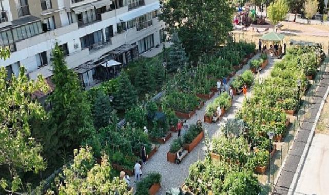 Lider Güner Niyet Mektubunu İmzaladı