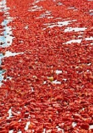 Meyve zerzevat mamulleri ihracatında aslan hissesi Ege Bölgesi’nin