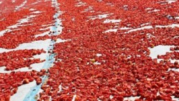 Meyve zerzevat mamulleri ihracatında aslan hissesi Ege Bölgesi’nin