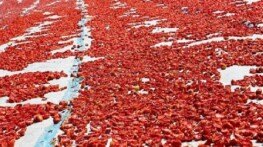 Meyve zerzevat mamulleri ihracatında aslan hissesi Ege Bölgesi’nin