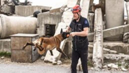 Momo enkaz için eğitiliyor