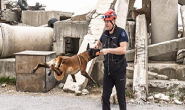 Momo enkaz için eğitiliyor