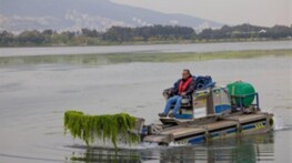 Pak Körfez için Gediz vurgusu