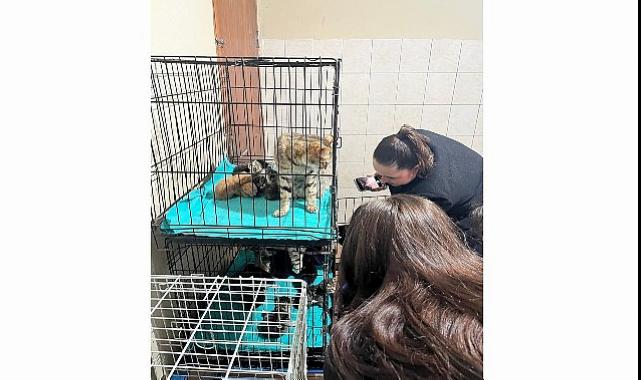 Patili dostlara manalı takviye