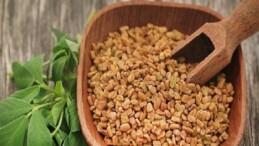 Prof. Dr. Nurhan Ünüsan; “Demirhindi, Bamya ve Çemen Otu, Mikroplastiklere Karşı Doğal Tahlil Sunuyor”