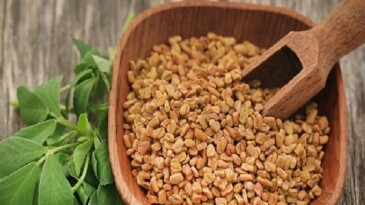 Prof. Dr. Nurhan Ünüsan; “Demirhindi, Bamya ve Çemen Otu, Mikroplastiklere Karşı Doğal Tahlil Sunuyor”