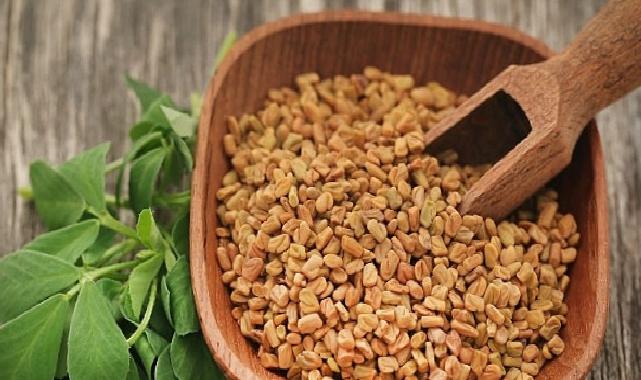 Prof. Dr. Nurhan Ünüsan; “Demirhindi, Bamya ve Çemen Otu, Mikroplastiklere Karşı Doğal Tahlil Sunuyor”