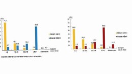 Teşebbüs Özelliklerine Nazaran Memleketler arası Hizmet Ticareti İstatistikleri, 2024