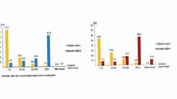 Teşebbüs Özelliklerine Nazaran Memleketler arası Hizmet Ticareti İstatistikleri, 2024