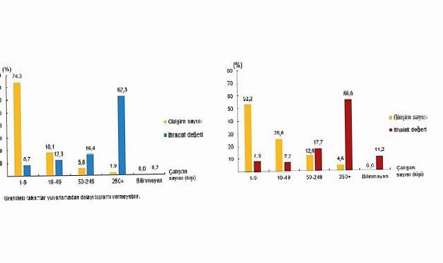 Teşebbüs Özelliklerine Nazaran Memleketler arası Hizmet Ticareti İstatistikleri, 2024