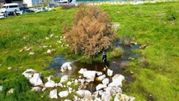 Torbalı Belediyesi’nden Halk Sıhhati İçin Seferberlik: Torbalı’da 12 Ay İlaçlama