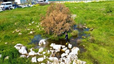 Torbalı Belediyesi’nden Halk Sıhhati İçin Seferberlik: Torbalı’da 12 Ay İlaçlama