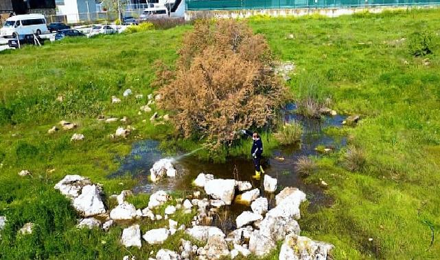 Torbalı Belediyesi’nden Halk Sıhhati İçin Seferberlik: Torbalı’da 12 Ay İlaçlama
