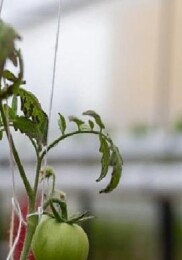 Yenişehir’den eğitime ‘Yeşil’ takviye