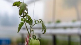 Yenişehir’den eğitime ‘Yeşil’ takviye