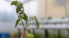 Yenişehir’den eğitime ‘Yeşil’ takviye