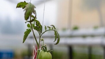 Yenişehir’den eğitime ‘Yeşil’ takviye