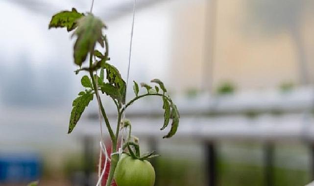 Yenişehir’den eğitime ‘Yeşil’ takviye