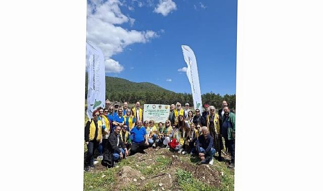 “Yeşil Adım” Projesiyle 11 Bin 581 Fidan hayat buldu.