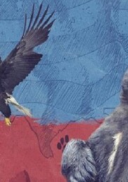 2 Kısımdan Oluşan ‘Amerika’nın Hayvanları’, 24 Mayıs Pazar Saat 20.00’de National Geographic WILD Ekranlarında Başlıyor!