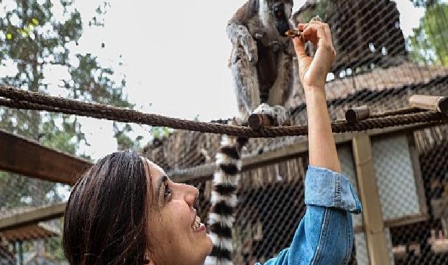 Antalya Doğal Hayat Parkı’nda yavru lemur sevinci