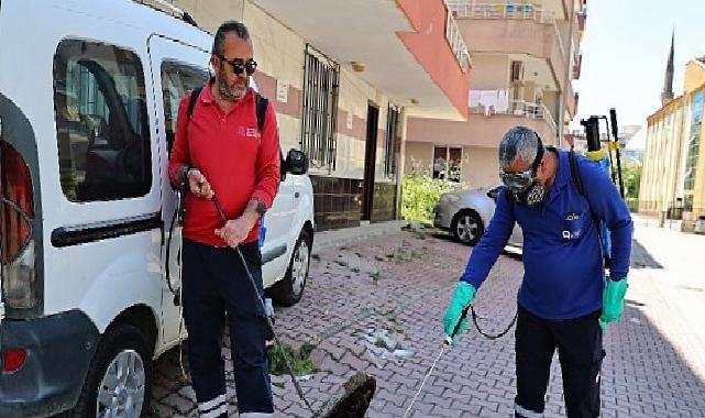 Büyükşehir’den kent genelinde vektörle gayret