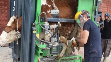 Büyükşehir’den kırsalda üreticiye dayanak
