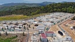 Büyükşehir’den sahipsiz köpeklere yeni yuva