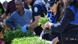 Büyükşehir’den Salihlili Üreticilere 34 Bin Zerzevat Fidesi