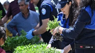 Büyükşehir’den Salihlili Üreticilere 34 Bin Zerzevat Fidesi