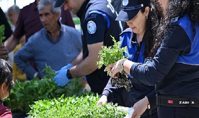 Büyükşehir’den Salihlili Üreticilere 34 Bin Zerzevat Fidesi