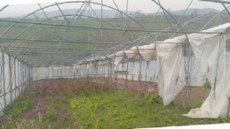 Büyükşehir’den seraları ziyan gören üreticilere dayanak