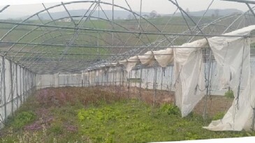 Büyükşehir’den seraları ziyan gören üreticilere dayanak