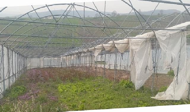 Büyükşehir’den seraları ziyan gören üreticilere dayanak