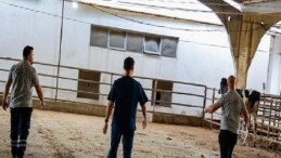 Büyükşehir’in kurban yakalama timi misyona hazır