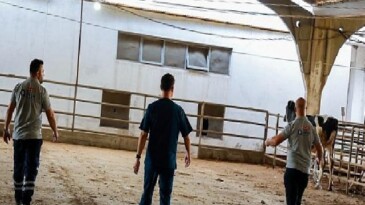 Büyükşehir’in kurban yakalama timi misyona hazır