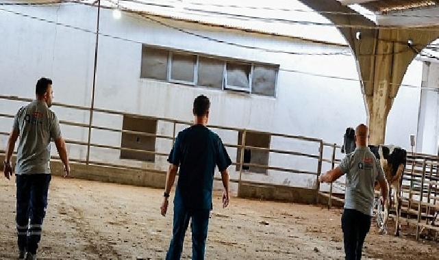 Büyükşehir’in kurban yakalama timi misyona hazır