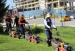 Çankaya Parklarında Çim Biçme Çalışması
