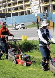 Çankaya Parklarında Çim Biçme Çalışması