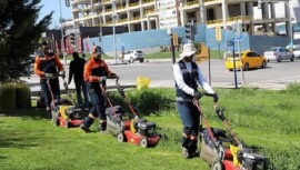 Çankaya Parklarında Çim Biçme Çalışması
